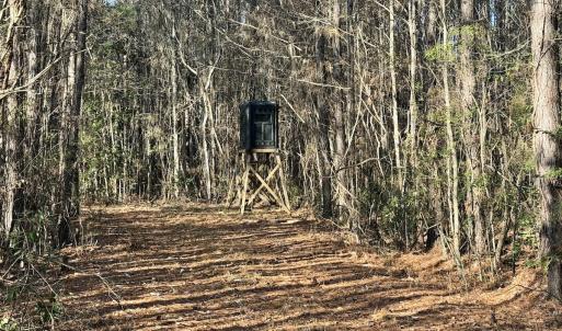 Photo #10 of Off Knobbs Creek Rd, Elizabeth City, NC 611.0 acres