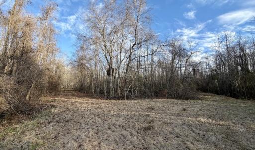 Photo #12 of Off Knobbs Creek Rd, Elizabeth City, NC 611.0 acres