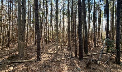 Photo #14 of Off Knobbs Creek Rd, Elizabeth City, NC 611.0 acres