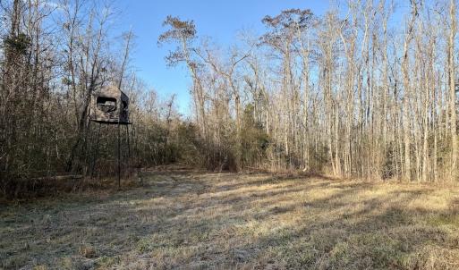 Photo #18 of Off Knobbs Creek Rd, Elizabeth City, NC 611.0 acres