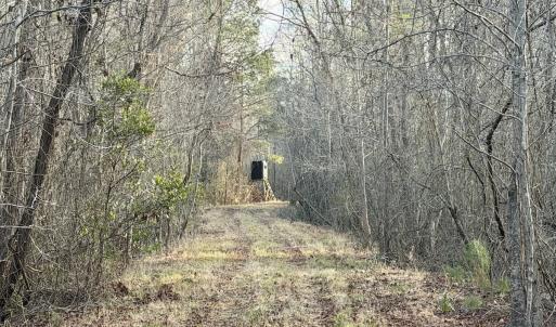 Photo #20 of Off Knobbs Creek Rd, Elizabeth City, NC 611.0 acres