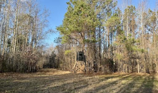 Photo #22 of Off Knobbs Creek Rd, Elizabeth City, NC 611.0 acres