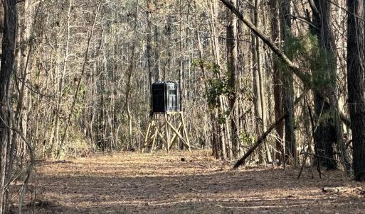 Photo #24 of Off Knobbs Creek Rd, Elizabeth City, NC 611.0 acres