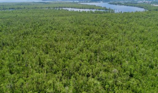 Photo #27 of Off Knobbs Creek Rd, Elizabeth City, NC 611.0 acres