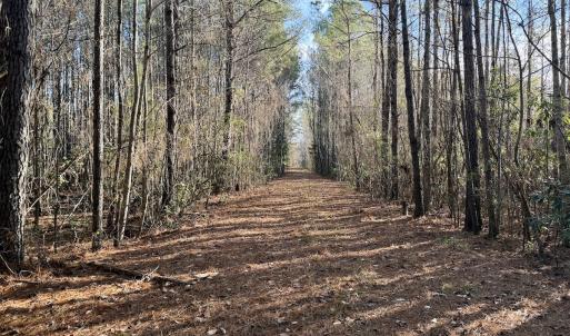 Photo #28 of Off Knobbs Creek Rd, Elizabeth City, NC 611.0 acres