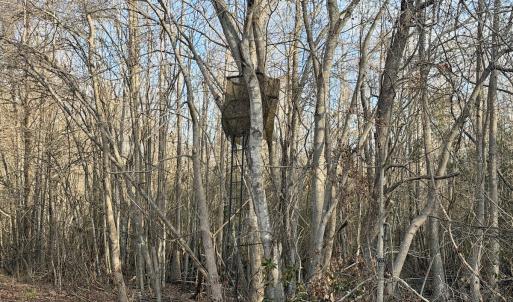 Photo #30 of Off Knobbs Creek Rd, Elizabeth City, NC 611.0 acres