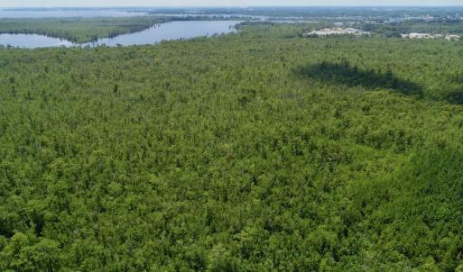 Photo #32 of Off Knobbs Creek Rd, Elizabeth City, NC 611.0 acres