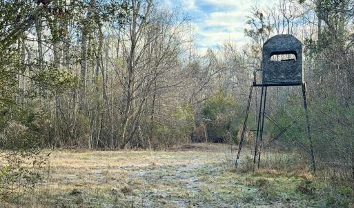 Photo #33 of Off Knobbs Creek Rd, Elizabeth City, NC 611.0 acres