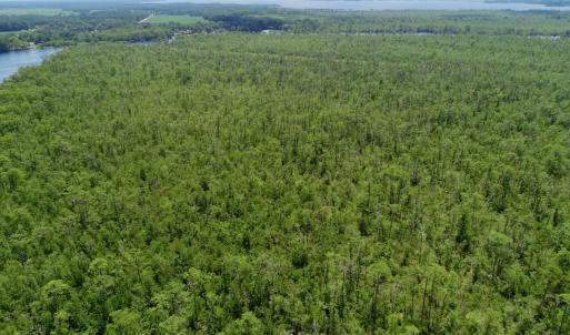Photo #36 of Off Knobbs Creek Rd, Elizabeth City, NC 611.0 acres