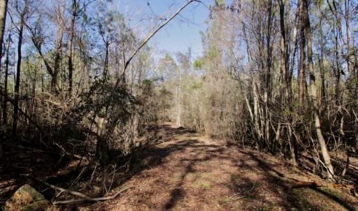 Photo #37 of Off Knobbs Creek Rd, Elizabeth City, NC 611.0 acres