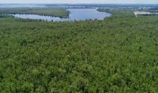 Photo #38 of Off Knobbs Creek Rd, Elizabeth City, NC 611.0 acres