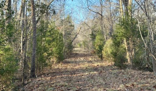 Photo #39 of Off Knobbs Creek Rd, Elizabeth City, NC 611.0 acres