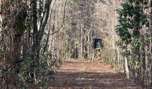 Photo #42 of Off Knobbs Creek Rd, Elizabeth City, NC 611.0 acres