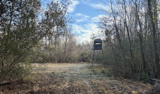 Photo #44 of Off Knobbs Creek Rd, Elizabeth City, NC 611.0 acres