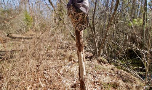 Photo #45 of Off Knobbs Creek Rd, Elizabeth City, NC 611.0 acres