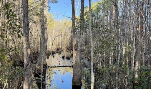 Photo #46 of Off Knobbs Creek Rd, Elizabeth City, NC 611.0 acres