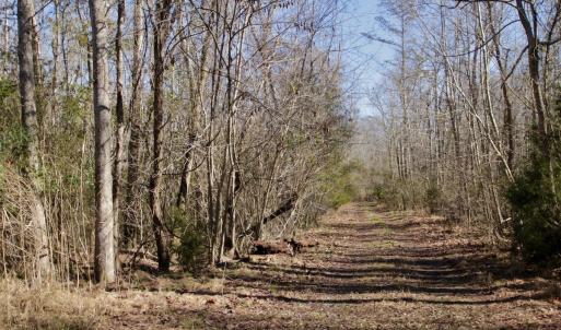Photo #48 of Off Knobbs Creek Rd, Elizabeth City, NC 611.0 acres
