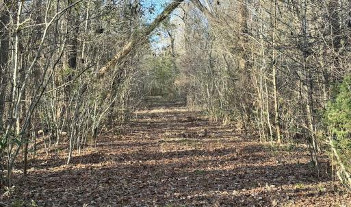 Photo #50 of Off Knobbs Creek Rd, Elizabeth City, NC 611.0 acres