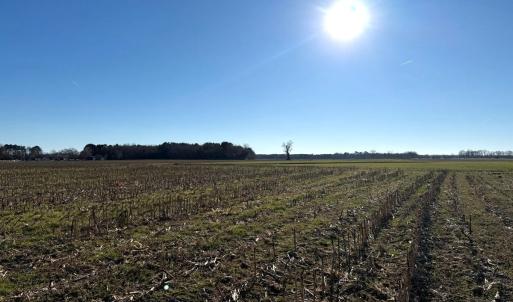 Photo #34 of Off of Joe Gardner Road, Grifton, NC 6.5 acres