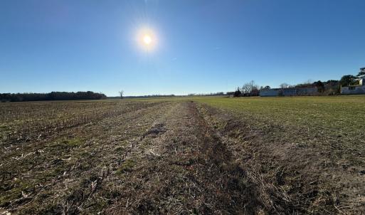 Photo #35 of Off of Joe Gardner Road, Grifton, NC 6.5 acres
