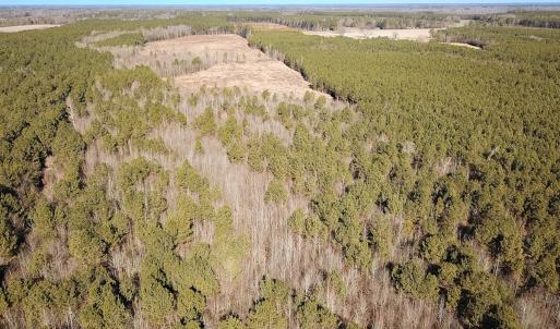 Photo #2 of Off Taylors Mill Road, Emporia, VA 107.0 acres