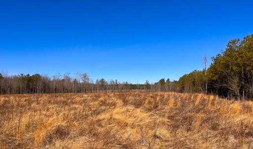 Photo #3 of Off Taylors Mill Road, Emporia, VA 107.0 acres