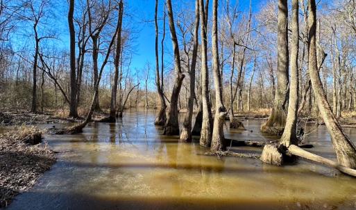 Photo #4 of Off Taylors Mill Road, Emporia, VA 107.0 acres