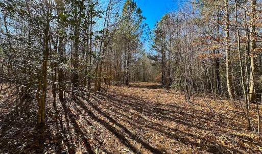 Photo #5 of Off Taylors Mill Road, Emporia, VA 107.0 acres