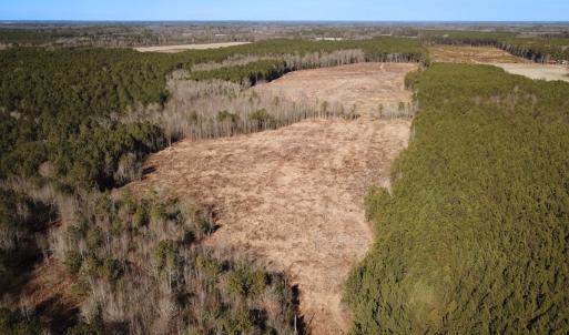 Photo #7 of Off Taylors Mill Road, Emporia, VA 107.0 acres