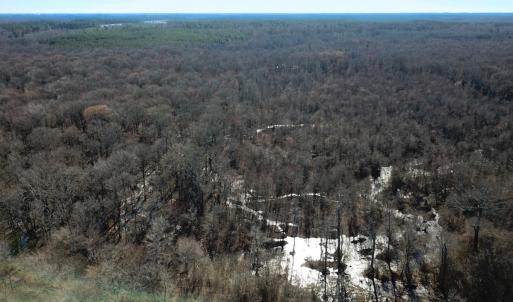 Photo #8 of Off Taylors Mill Road, Emporia, VA 107.0 acres