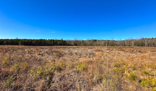 Photo #9 of Off Taylors Mill Road, Emporia, VA 107.0 acres