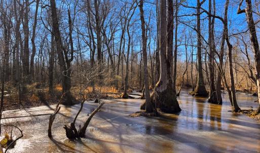 Photo #11 of Off Taylors Mill Road, Emporia, VA 107.0 acres