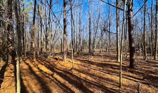 Photo #12 of Off Taylors Mill Road, Emporia, VA 107.0 acres
