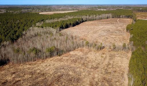 Photo #14 of Off Taylors Mill Road, Emporia, VA 107.0 acres