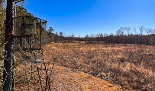 Photo #17 of Off Taylors Mill Road, Emporia, VA 107.0 acres