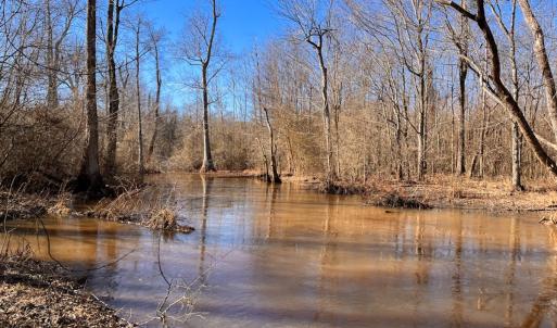 Photo #18 of Off Taylors Mill Road, Emporia, VA 107.0 acres