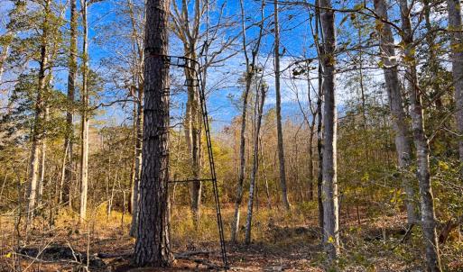 Photo #19 of Off Taylors Mill Road, Emporia, VA 107.0 acres