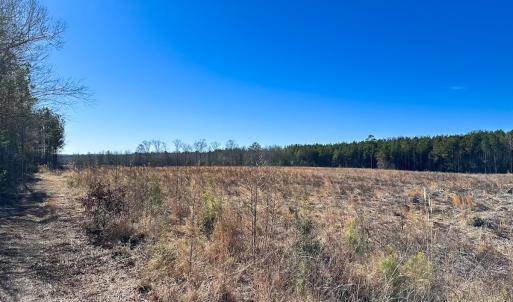 Photo #23 of Off Taylors Mill Road, Emporia, VA 107.0 acres