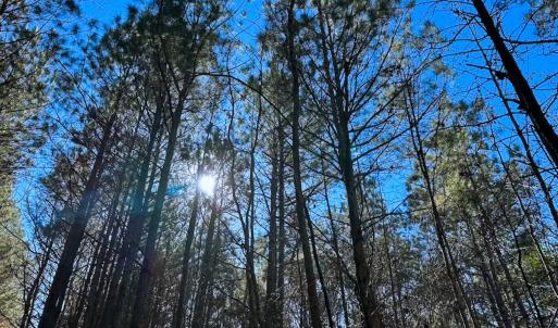 Photo #24 of Off Taylors Mill Road, Emporia, VA 107.0 acres