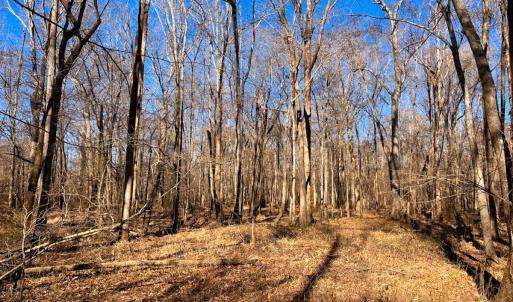 Photo #25 of Off Taylors Mill Road, Emporia, VA 107.0 acres