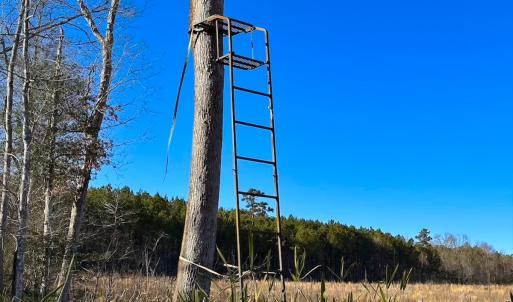 Photo #27 of Off Taylors Mill Road, Emporia, VA 107.0 acres