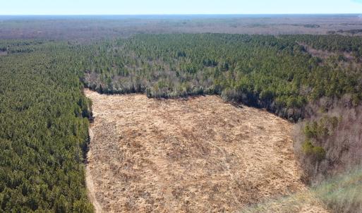 Photo #28 of Off Taylors Mill Road, Emporia, VA 107.0 acres