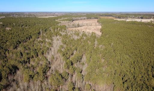 Photo #29 of Off Taylors Mill Road, Emporia, VA 107.0 acres