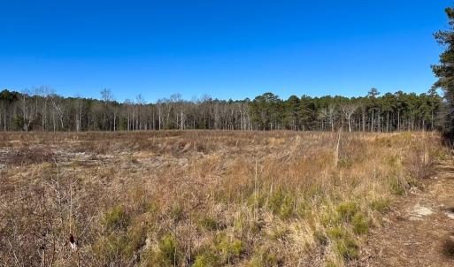 Photo #30 of Off Taylors Mill Road, Emporia, VA 107.0 acres