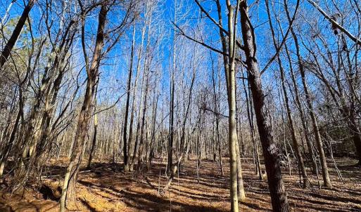 Photo #31 of Off Taylors Mill Road, Emporia, VA 107.0 acres