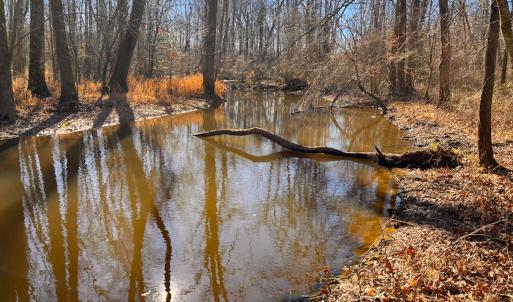 Photo #32 of Off Taylors Mill Road, Emporia, VA 107.0 acres