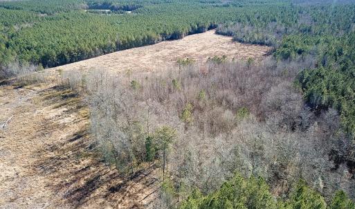 Photo #34 of Off Taylors Mill Road, Emporia, VA 107.0 acres