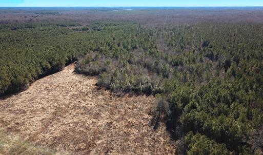 Photo #35 of Off Taylors Mill Road, Emporia, VA 107.0 acres