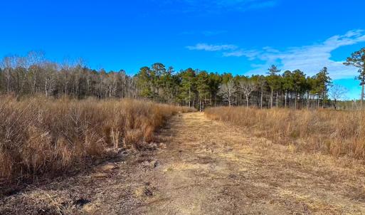 Photo #36 of Off Taylors Mill Road, Emporia, VA 107.0 acres