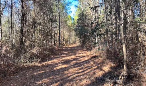Photo #37 of Off Taylors Mill Road, Emporia, VA 107.0 acres